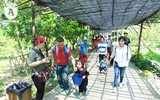 Tết Thiếu nhi, trẻ em Hà Nội đến nông trại ở ngoại thành làm nông dân